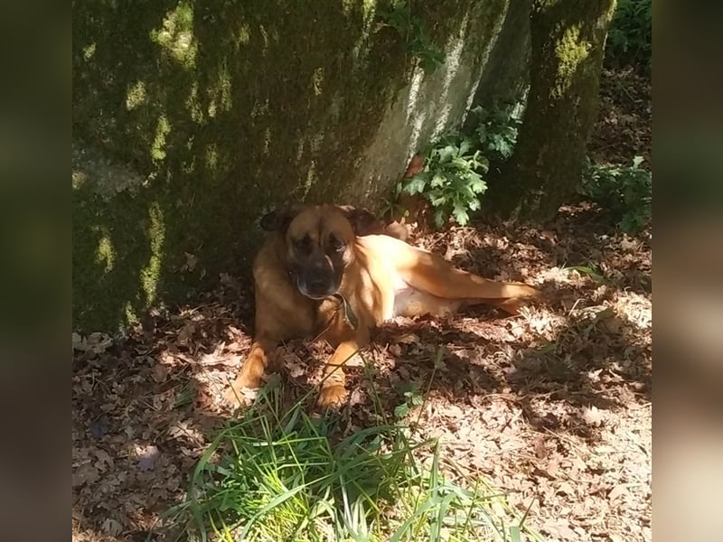 GERALDINE- traurige Vergangenheit