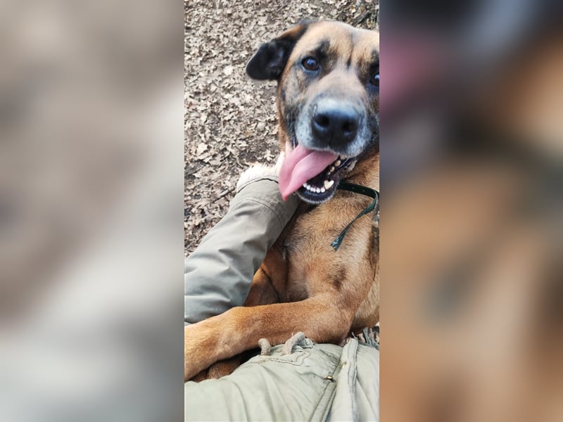 GERALDINE- traurige Vergangenheit