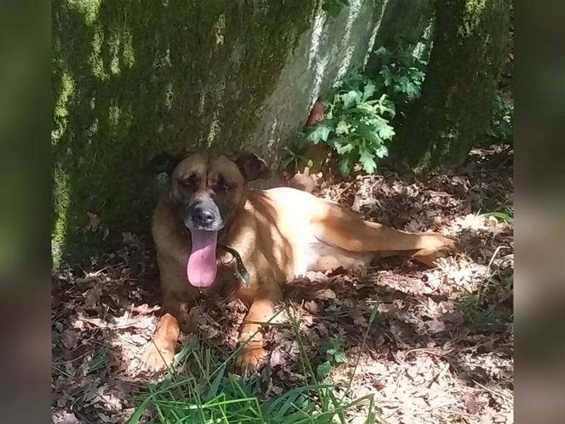 GERALDINE- traurige Vergangenheit