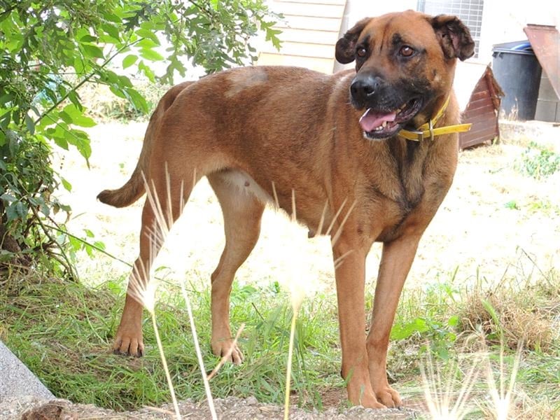 GERALDINE- traurige Vergangenheit