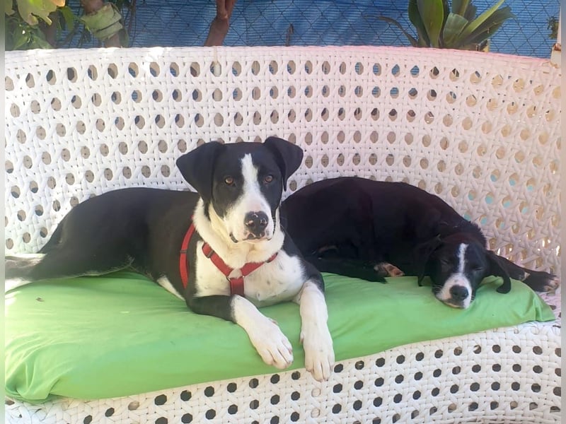 MILVA – lernen, vertrauen, ankommen