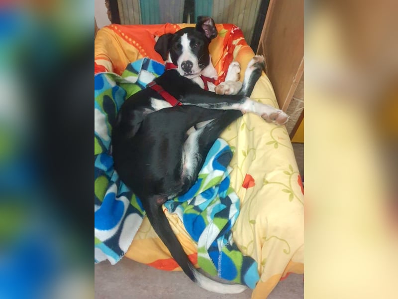 MILVA – lernen, vertrauen, ankommen