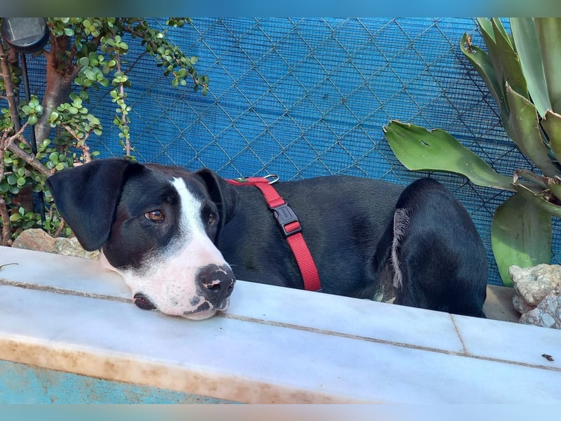 MILVA – lernen, vertrauen, ankommen