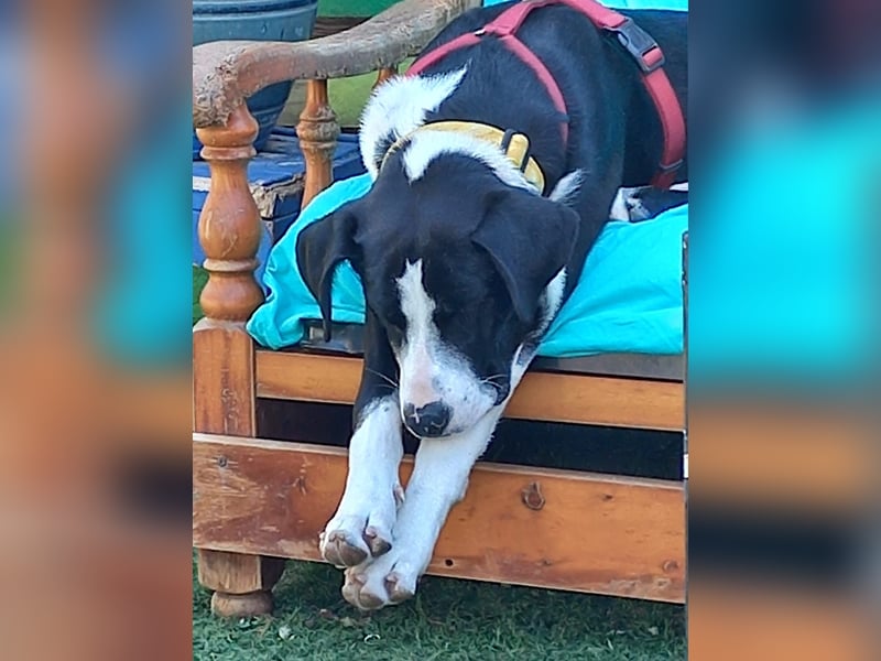 MILVA – lernen, vertrauen, ankommen