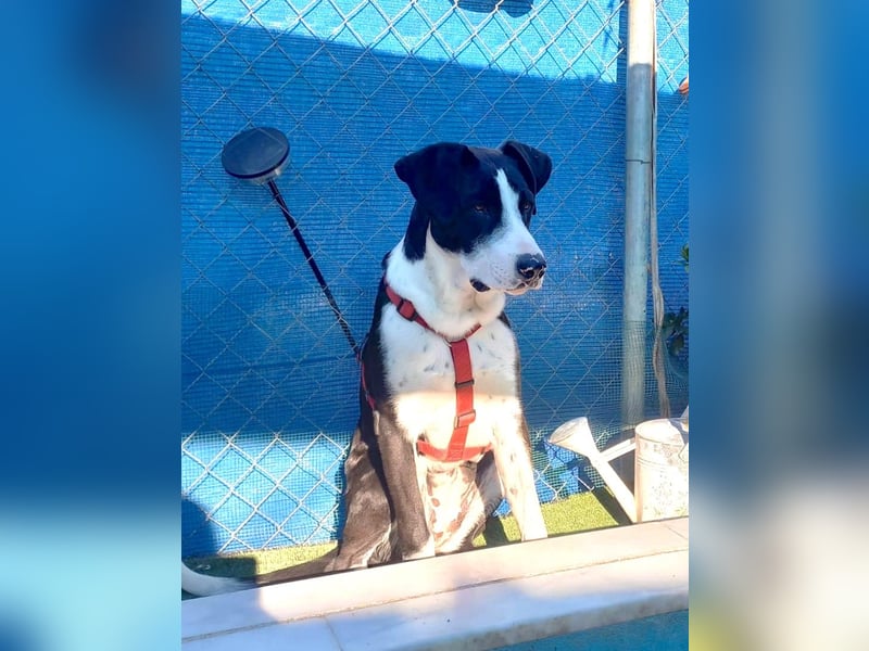 MILVA – lernen, vertrauen, ankommen