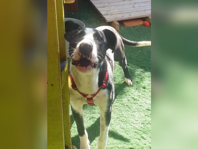 MILVA – lernen, vertrauen, ankommen