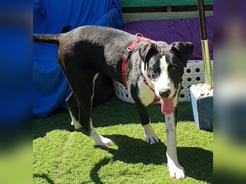 MILVA – lernen, vertrauen, ankommen