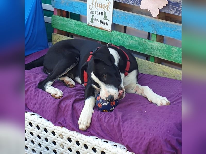 MILVA – lernen, vertrauen, ankommen