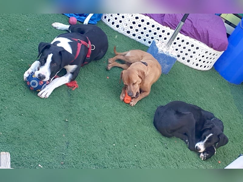 MILVA – lernen, vertrauen, ankommen