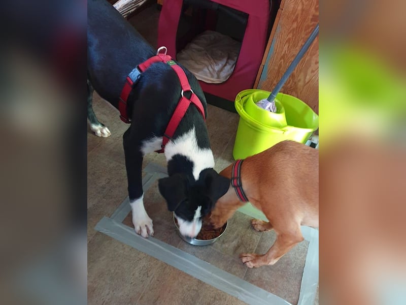 MILVA – lernen, vertrauen, ankommen