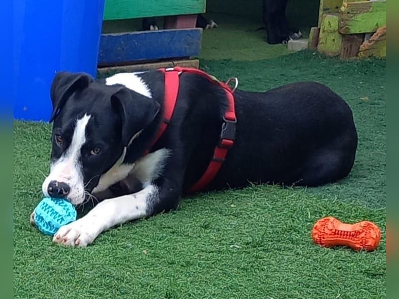 MILVA – lernen, vertrauen, ankommen