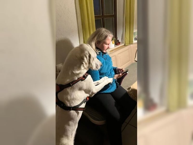 Sakiz, liebevolle Hündin mit einem großen Herzen