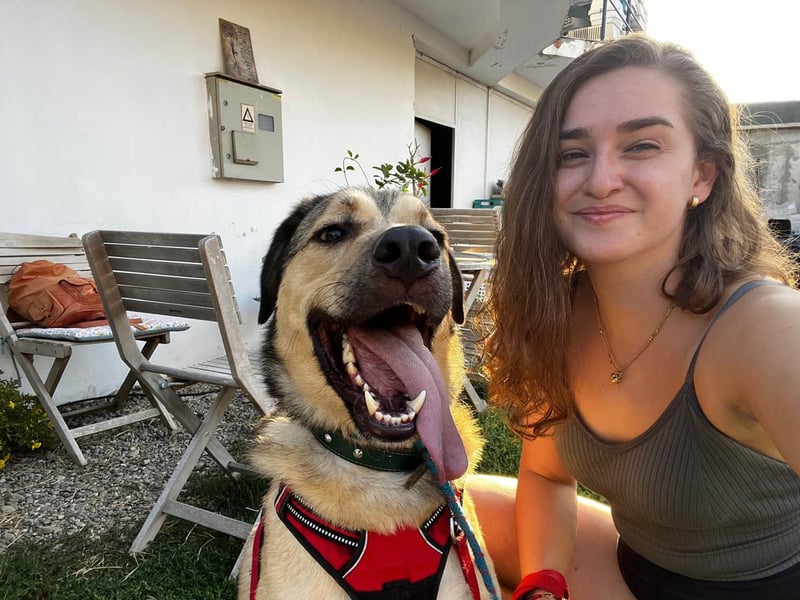 Romeo wünscht sich ein für immer Zuhause