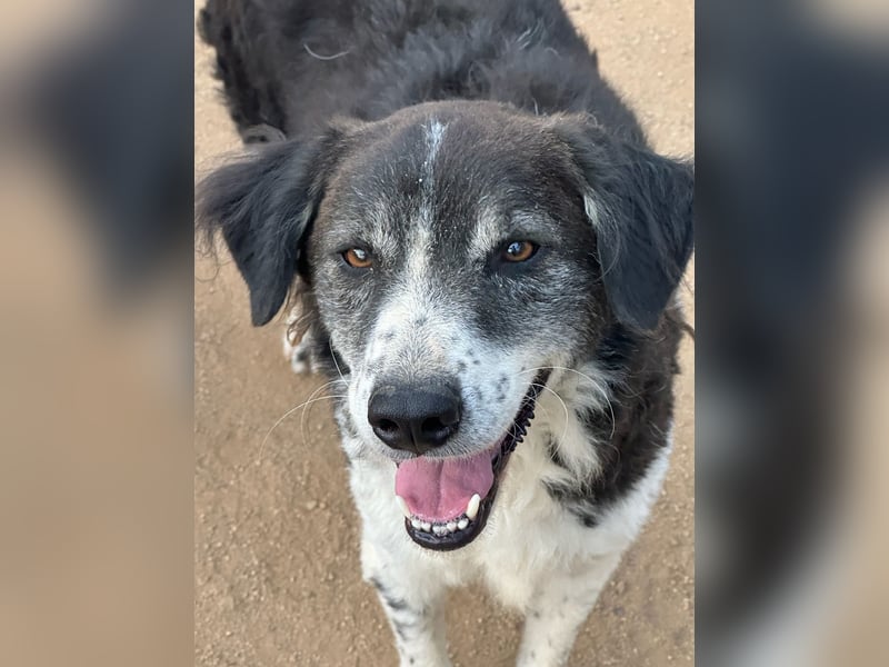 SELENE - so hübsch und so nett!!!