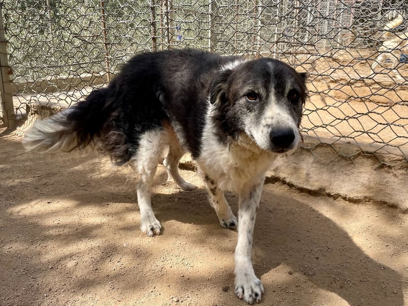 SELENE - so hübsch und so nett!!!