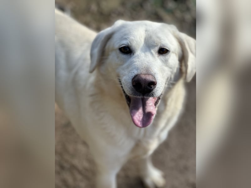 TORBATA - schön & groß