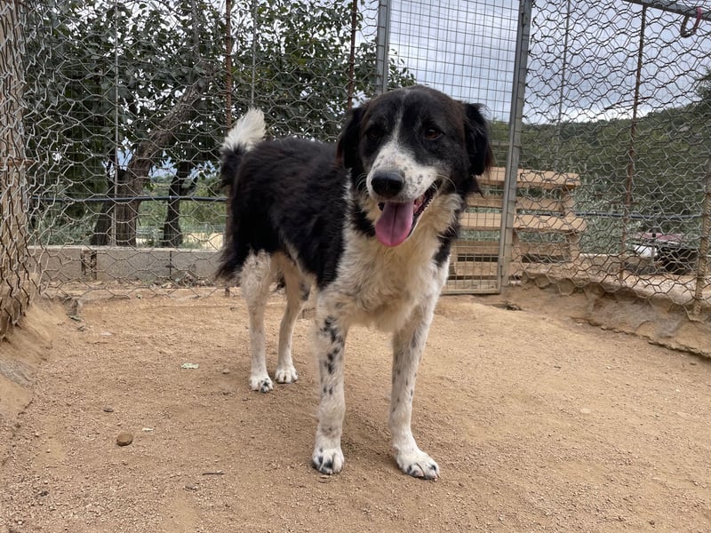 SELENE - so hübsch und so nett!!!