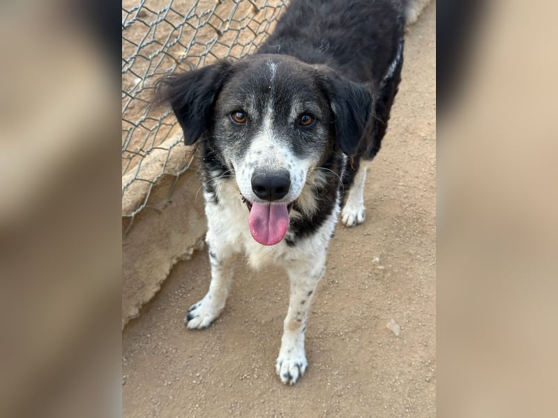 SELENE - so hübsch und so nett!!!