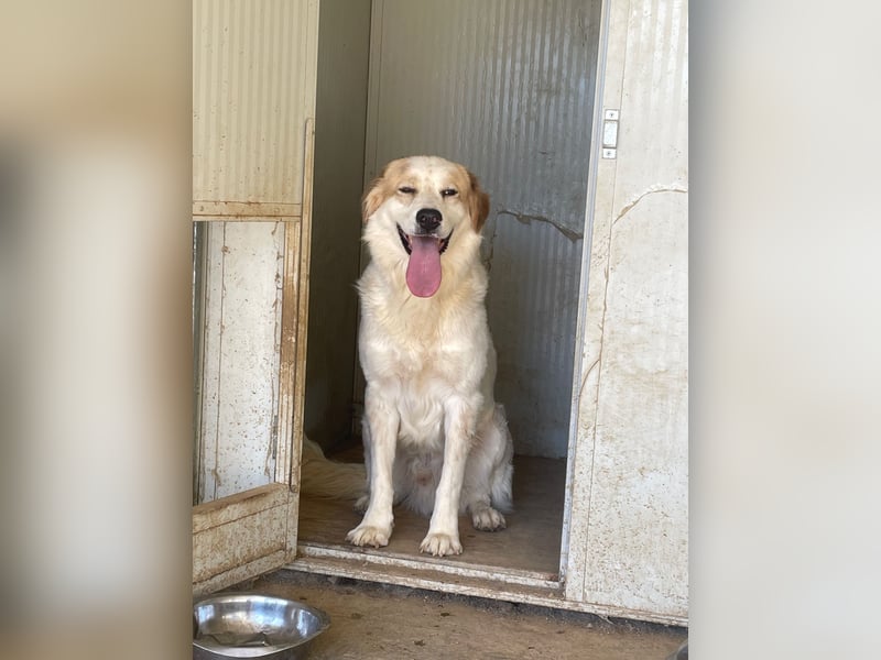 ELIOS - bildschön & menschenbezogen