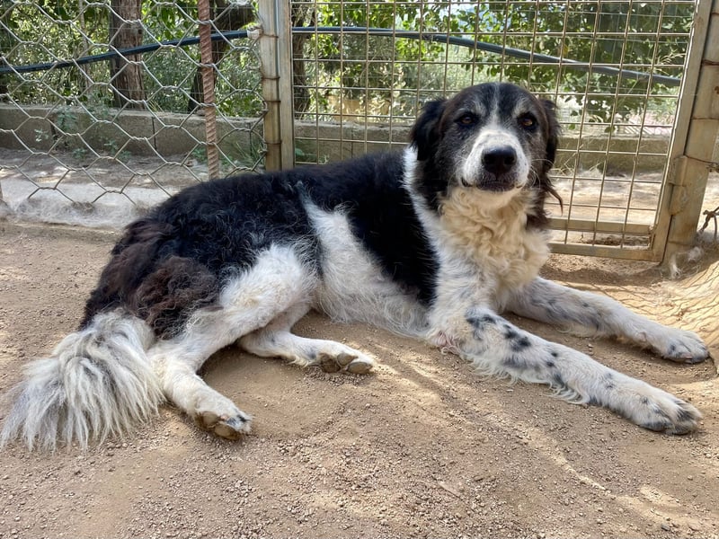 SELENE - so hübsch und so nett!!!