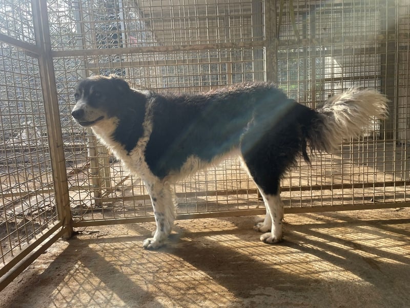 SELENE - so hübsch und so nett!!!