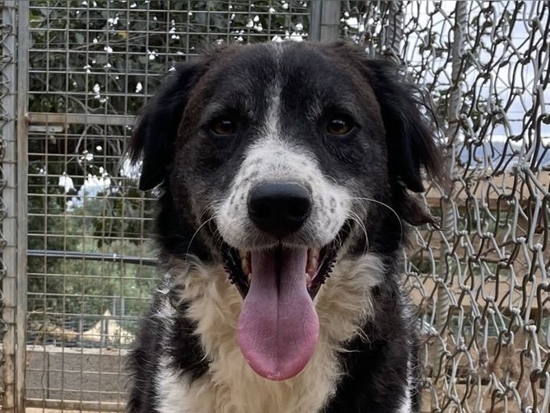 SELENE - so hübsch und so nett!!!