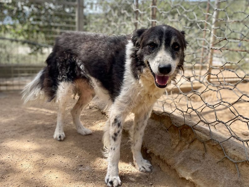 SELENE - so hübsch und so nett!!!