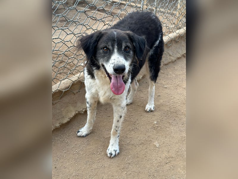 SELENE - so hübsch und so nett!!!