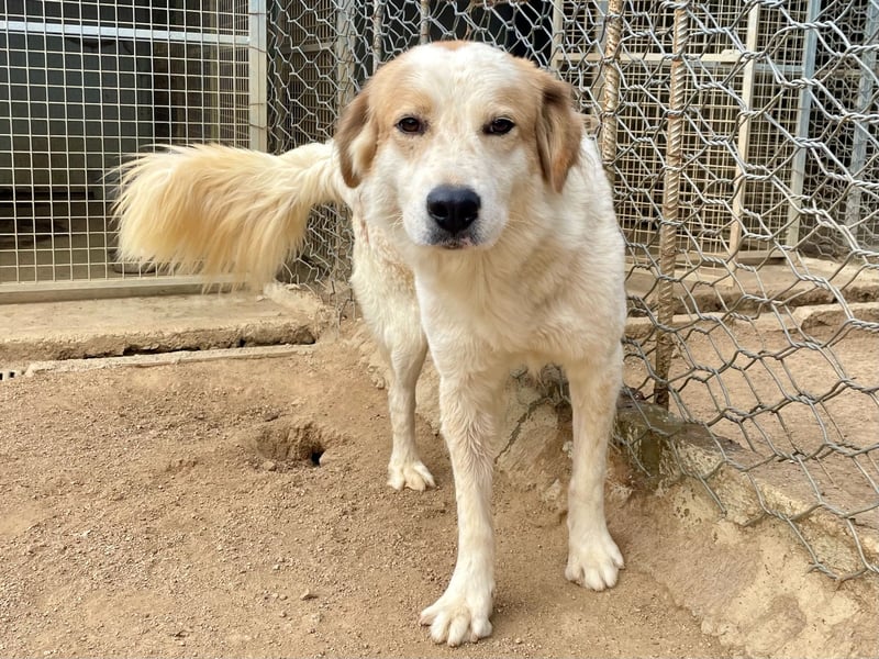 ELIOS - bildschön & menschenbezogen