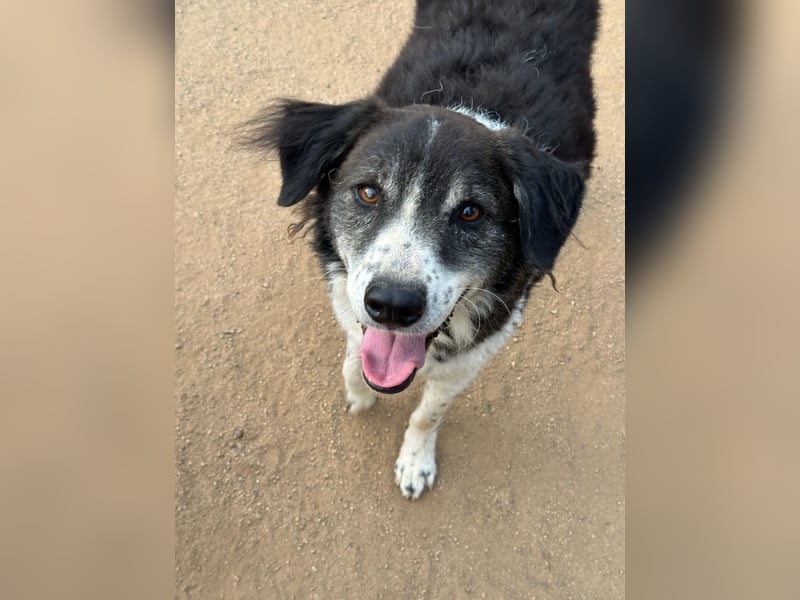 SELENE - so hübsch und so nett!!!