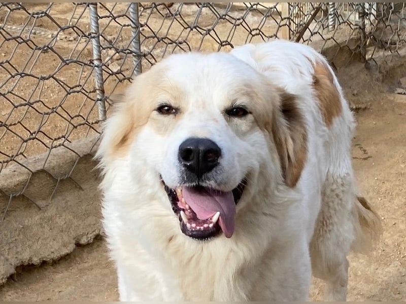 ELIOS - bildschön & menschenbezogen