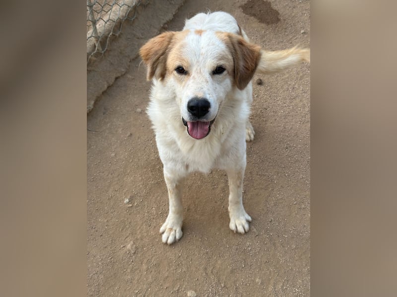 ELIOS - bildschön & menschenbezogen