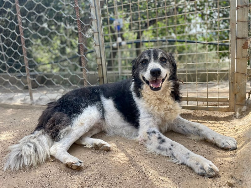 SELENE - so hübsch und so nett!!!