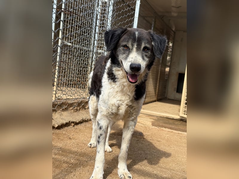 SELENE - so hübsch und so nett!!!