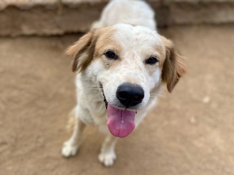 ELIOS - bildschön & menschenbezogen