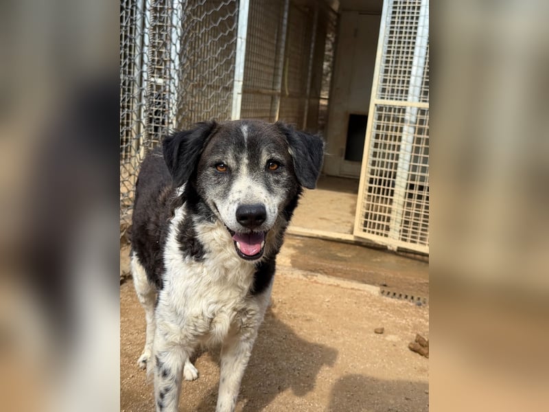 SELENE - so hübsch und so nett!!!