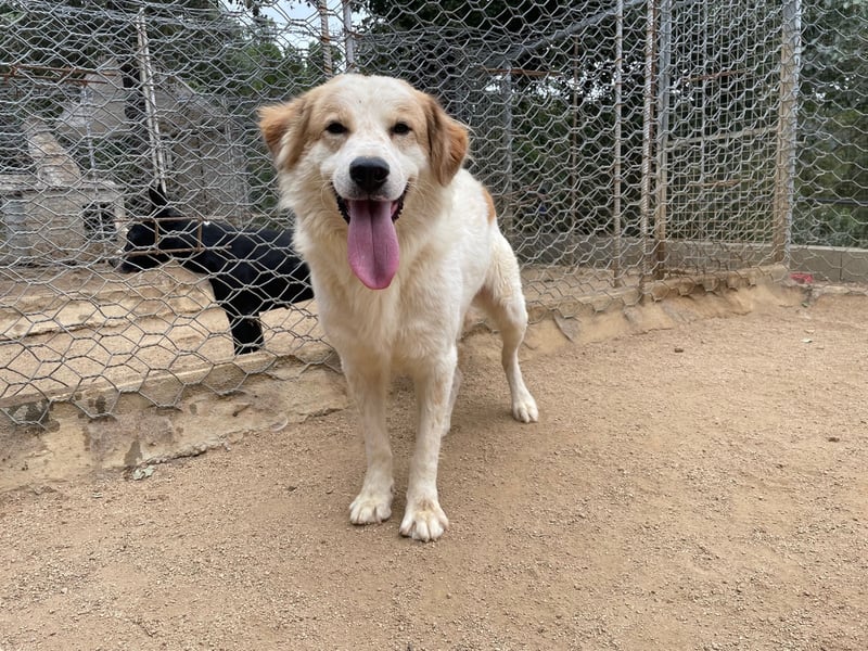 ELIOS - bildschön & menschenbezogen