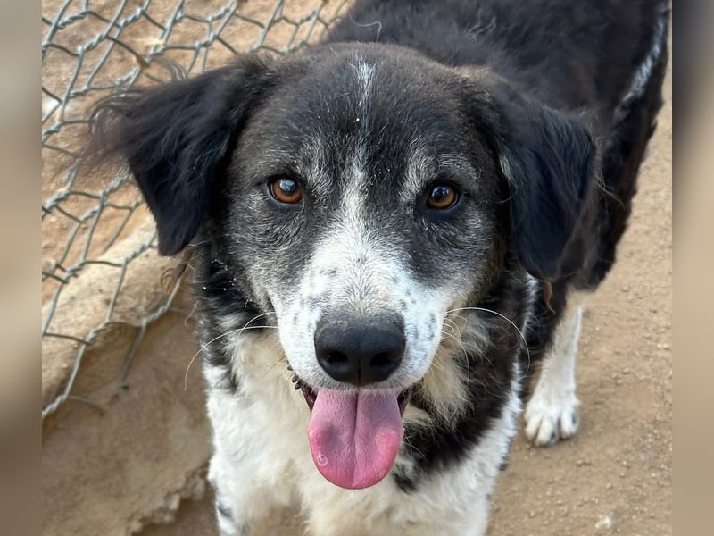 SELENE - so hübsch und so nett!!!