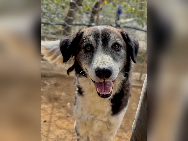 SELENE - so hübsch und so nett!!!