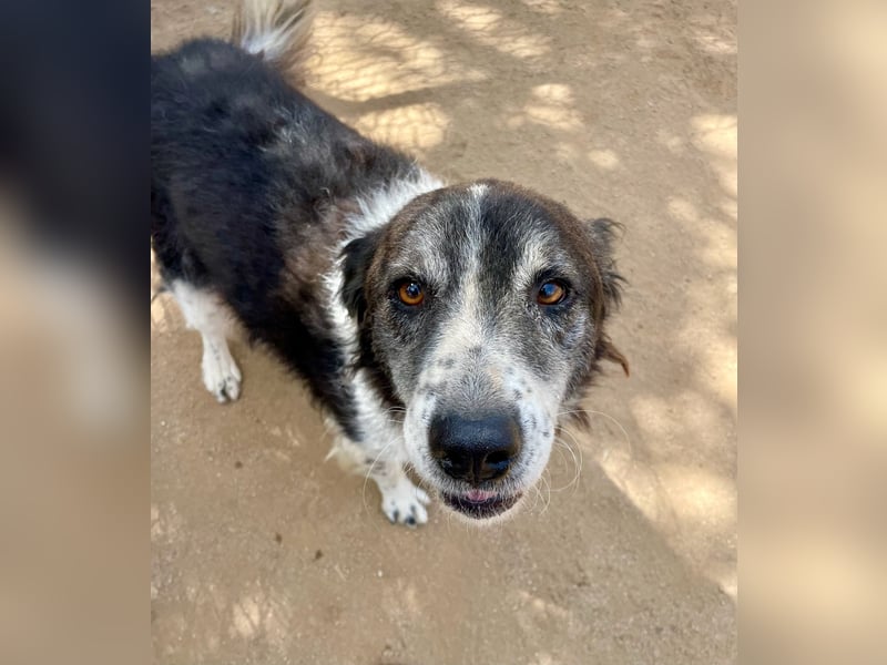 SELENE - so hübsch und so nett!!!