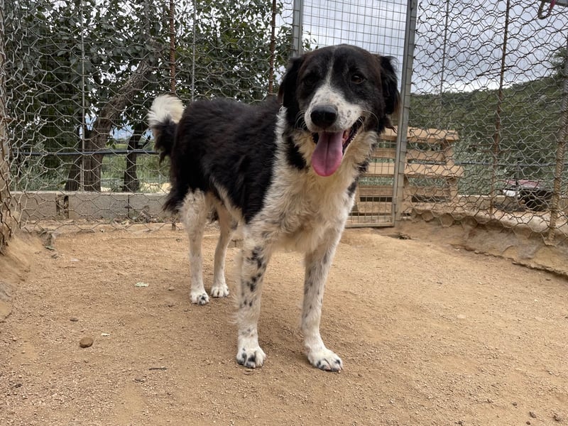 SELENE - so hübsch und so nett!!!