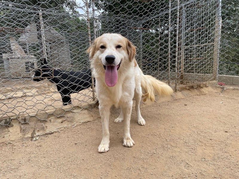 ELIOS - bildschön & menschenbezogen