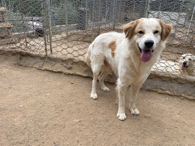 ELIOS - bildschön & menschenbezogen