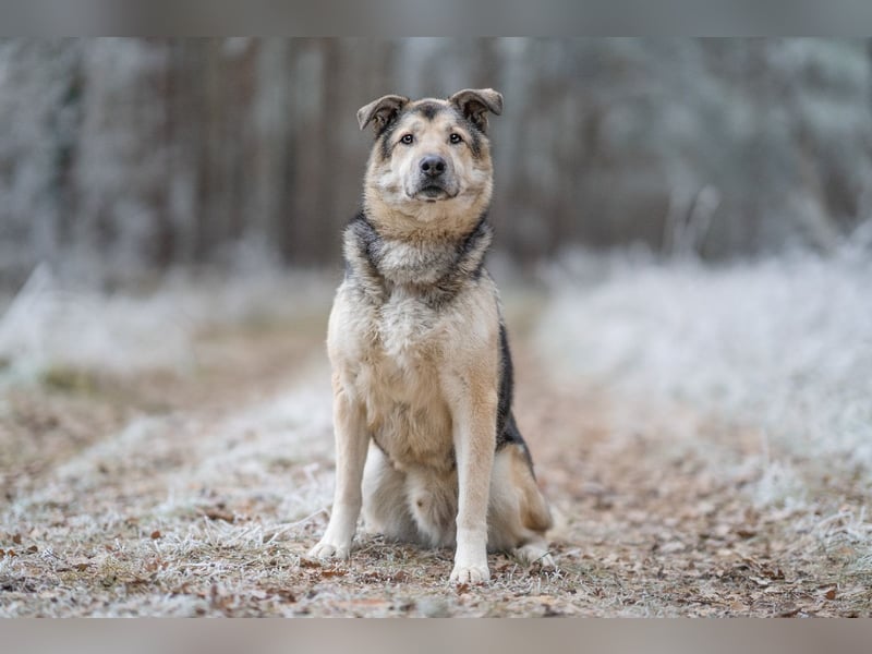 JANNO - intelligenter Freigeist sucht Partner/ Partnerin