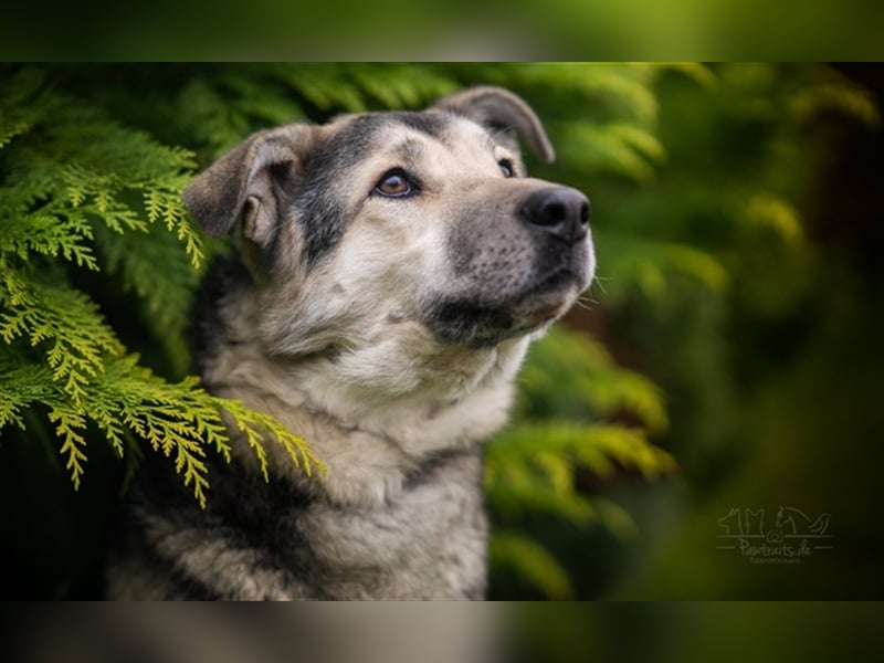 JANNO - intelligenter Freigeist sucht Partner/ Partnerin