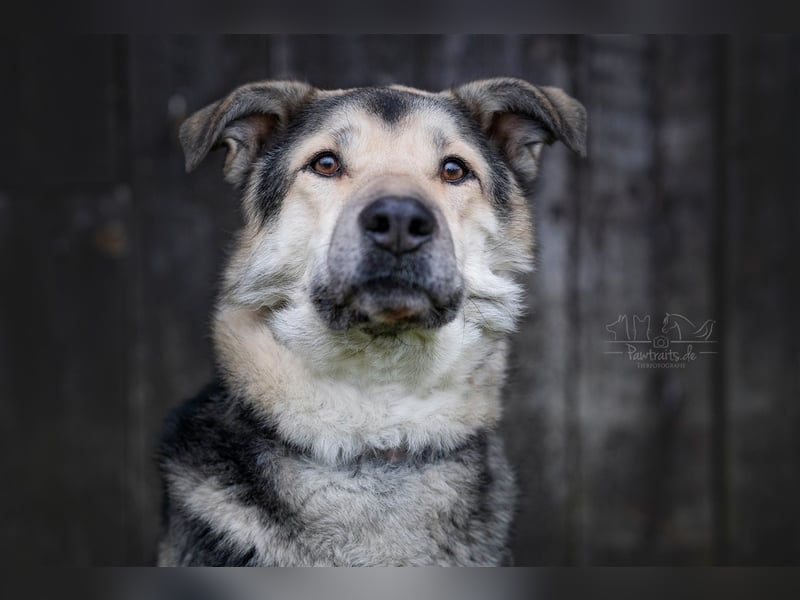 JANNO - intelligenter Freigeist sucht Partner/ Partnerin