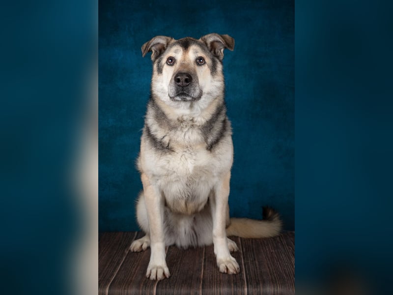 JANNO - intelligenter Freigeist sucht Partner/ Partnerin