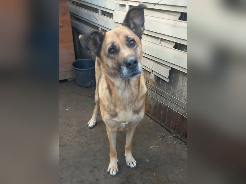 Ionica - sanft und freundlich