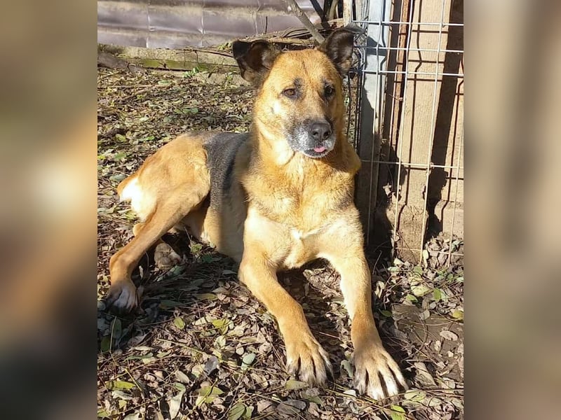 Ionica - sanft und freundlich