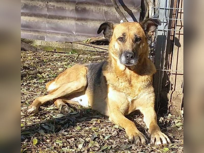 Ionica - sanft und freundlich